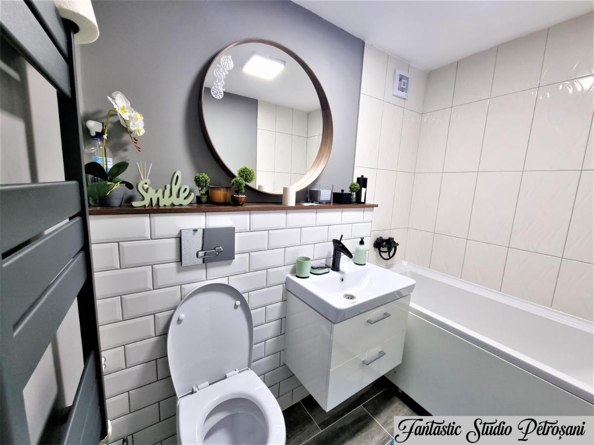 ~Fantastic Studio Petrosani~ Lägenhet Exteriör bild