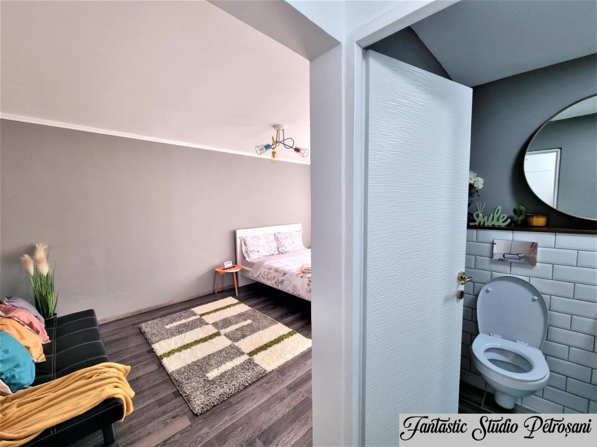 ~Fantastic Studio Petrosani~ Lägenhet Exteriör bild